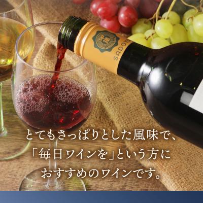 ふるさと納税 甲府市 サドヤ モンシェルヴァン　赤　750ml |  | 03