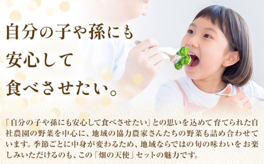 自然状況、生育状況などでお野菜の内容が変更となる場合があります