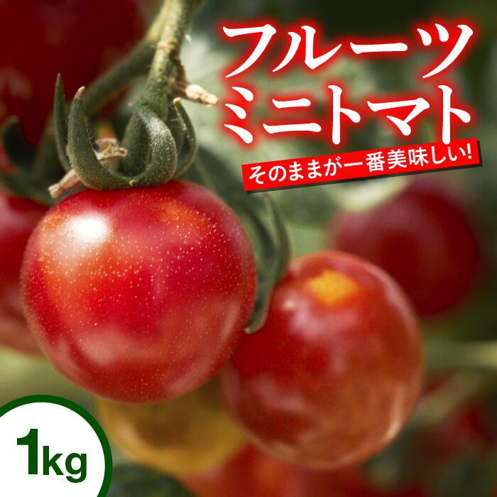 【ふるさと納税】トマト 高知 フルーツトマト ミニ 1kg 完熟 甘い 濃厚 野菜 人気 ふるーつとまと 甘い 濃厚 美味しい 箱詰め 糖度 高知 四万十川 まちだ農園 高糖度 定期便 ギフト　おやつ プチ お弁当 季節限定