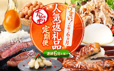 【6回定期便 】上位人気返礼品～西海の宝物定期便～CZZ024 定期便 定期便 定期便 定期便 定期便