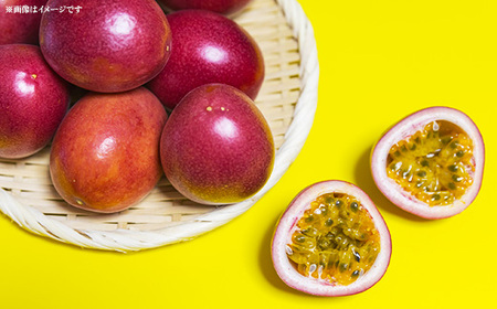 【2025年発送】宇地原農園の パッションフルーツ 約1kg（9個～）【ご家庭用】- 国産 南国フルーツ 家庭用 果物 甘い 酸味 爽やか 美味しい 沖縄県 八重瀬町