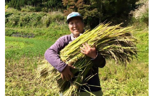 令和7年産「ミルキークイーン」新潟県上越産 玄米5kg(1袋)