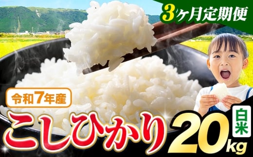 【3ヶ月定期便】令和7年産 新米 白米 こしひかり 20kg《お申込み翌月出荷》熊本県産 ふるさと納税 白米 精米 ひの 米 こめ ふるさとのうぜい コシヒカリ コメ お米 おこめ