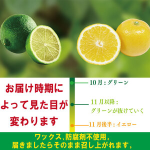 【2025年10月順次発送】 スイートレモネード 1.2kg (10～12個)  レモン れもん 檸檬 柑橘 フルーツ 果物 完熟 国産 新鮮 果汁 レモンサワー お酒 ハイボール レモネード ジュー
