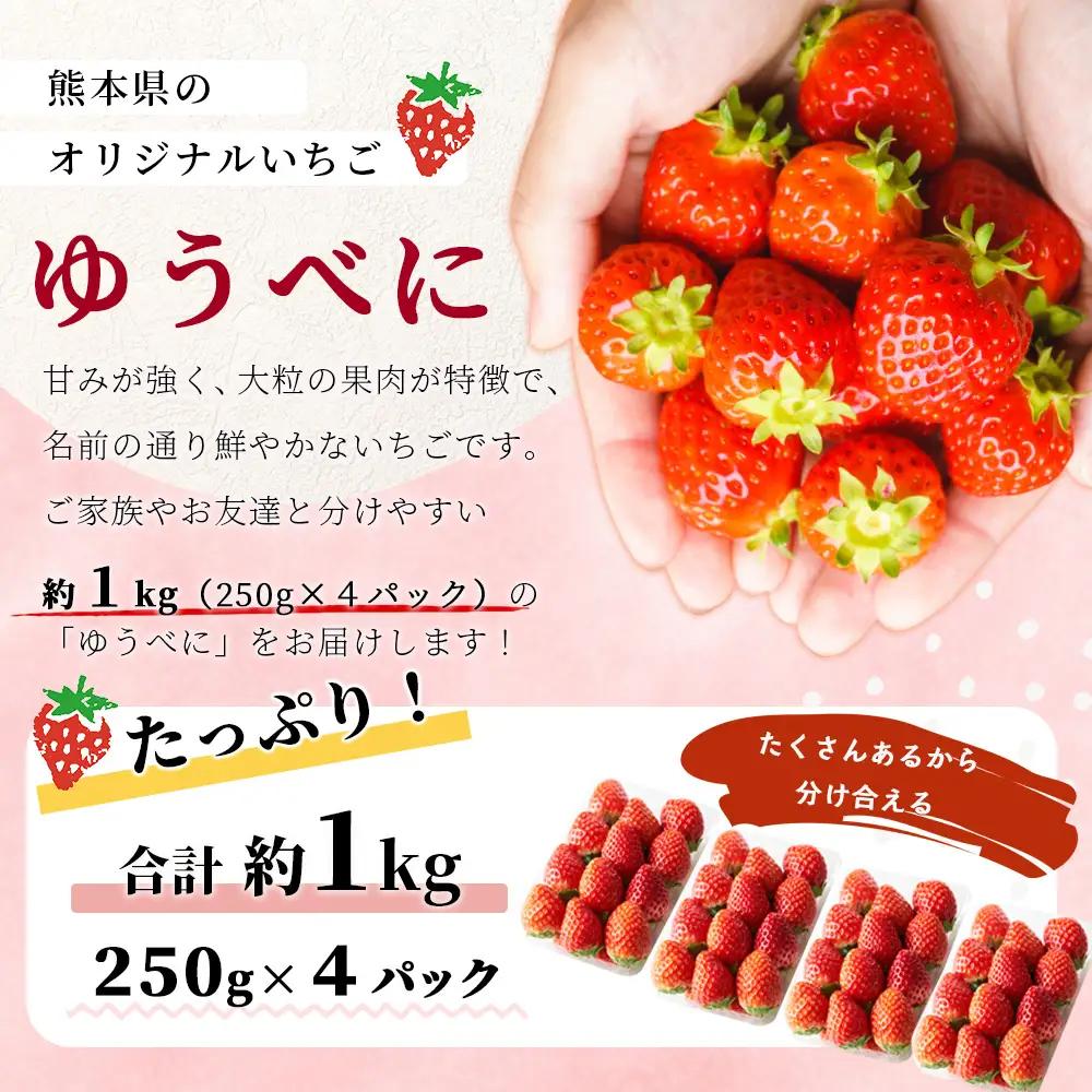 熊本県産 いちご ゆうべに 1kg (250g×4パック) 【2027年出荷分】イチゴ 果物 フルーツ 熊本県 多良木町 農園直送 107-0501