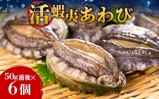 活き蝦夷あわび　6個【1442546】