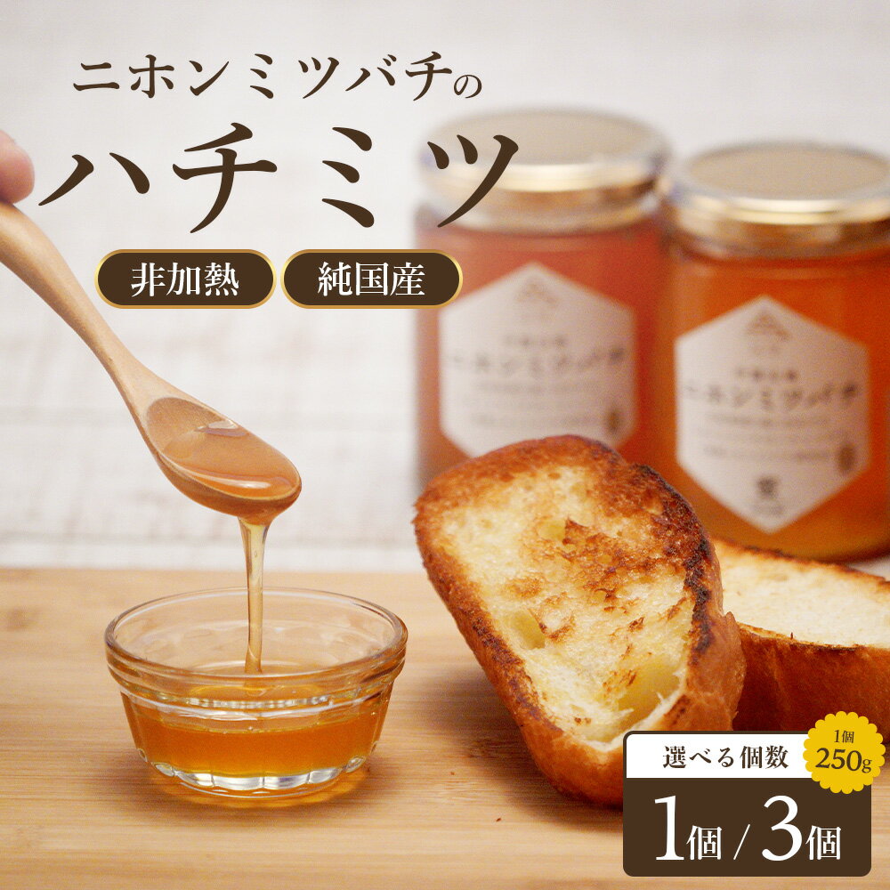【ふるさと納税】 【選べる内容量】 二ホンミツバチのハチミツ 250g 【1個・3個】 | はちみつ 蜂蜜 国産 非加熱 にほんみつばち 日本蜜蜂