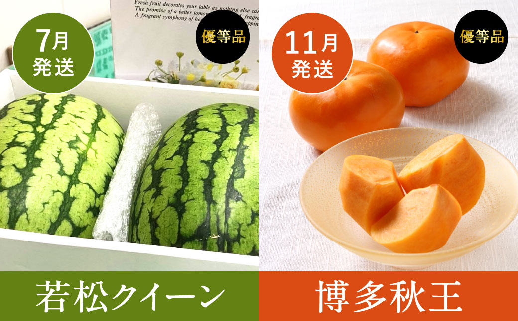 【福岡県産 特産品 年4回定期便】うまもぐ厳選 野菜果物セットA