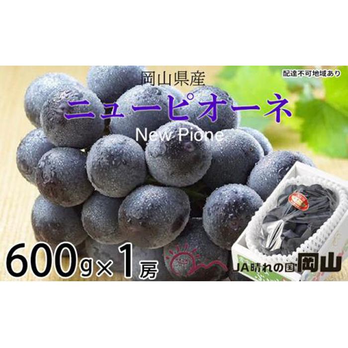 【ふるさと納税】ぶどう 2026年 ニュー ピオーネ 約600g×1房 ブドウ 葡萄 岡山県産 国産 フルーツ 果物 ギフト | フルーツ 果物 くだもの 食品 人気 おすすめ 送料無料
