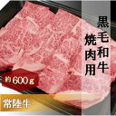 【ふるさと納税】黒毛和牛 「常陸牛」 肩ロース 焼肉用 600g お肉 牛肉 焼肉 バーベキュー ロース　お肉・牛肉・焼肉・バーベキュー・ロース