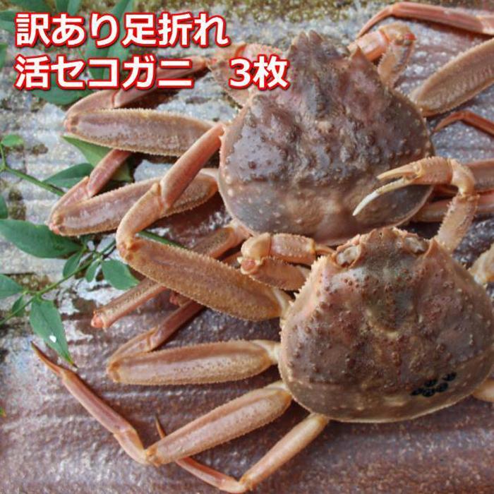 【ふるさと納税】【先行予約 2026年11月中旬以降発送】活き訳あり足折れご自宅用　日本海産親ガニセコガ二　3枚MK19 | 国産 訳あり ズワイガニ 松葉ガニ カニ 蟹 かに 生 カニ鍋 かに鍋 鍋 かにしゃぶ かにみそ 期間限定 送料無料 鳥取県 三朝町