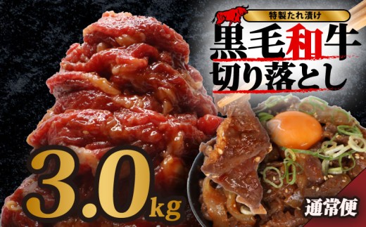 黒毛和牛 切り落とし 3kg 15パック 小分け 牛肉 牛 肉 和牛 切落し きりおとし 切り落とし肉 味付け肉 定期便 選べる容量 国産 大和牛 ブランド牛 冷凍 スライス タレ 特製タレ タレ漬け 秘伝 たれ 焼き肉 焼肉 牛丼 丼 大容量 BBQ バーベキュー 味付き おすすめ 人気 贈答 ギフト 奈良県 奈良市 なら 近藤精肉店