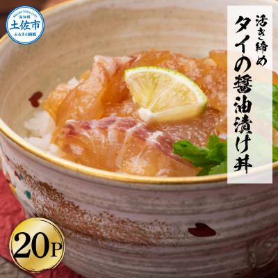 ふるさと納税 土佐市 訳あり　活き締めタイの醤油漬け丼　20袋セット