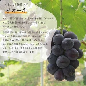 【きよとうファーム】訳ありご家庭用ピオーネとシャインマスカット/計約2.4kg(岡山県産)【配送不可地域：離島】【1602238】