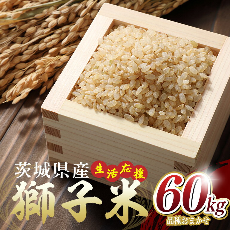 【ふるさと納税】 【12月限定】生活応援！ 獅子米 60kg 玄米 お米 米 おまかせ こしひかり にじのきらめき あきたこまち ご飯 ごはん 産地直送 国産 茨城県 石岡市 B02-090