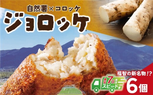 U19-07 【自然薯×コロッケ】ジョロッケ 6個セット じねんじょ 山芋 野菜 グルメ 取り寄せ ご当地 特産 産地 直送人気 オススメ 惣菜 【上野焼チャンス】