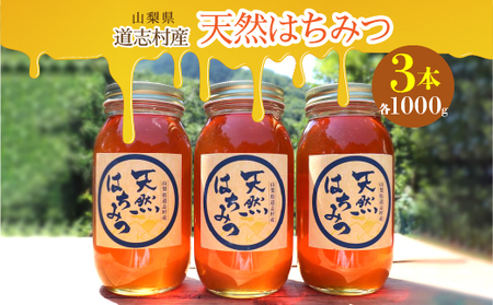 道志村産　天然はちみつ（1000g×3本） DSD003　はちみつ ハチミツ　蜂蜜　ハニー