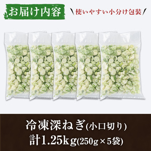 ＜先行予約受付中！2025年2月中旬以降順次発送予定＞冷凍深ネギ(小口切り：計1.25kg・250g/袋) 野菜 冷凍 冷凍野菜 小分け ねぎ ネギ 深ネギ 小口切り 斜め切り ねぎま 簡単 手軽 小