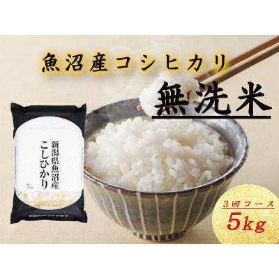 ふるさと納税 十日町市 【毎月定期便】無洗米 魚沼産コシヒカリ(精米)5kg×1袋全3回