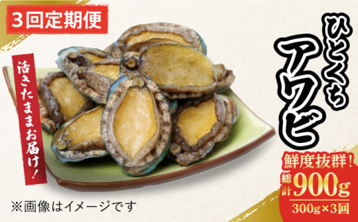 【全3回定期便】【活きたままお届け！】 上五島産 養殖 ひとくち アワビ 活 厳選 300g 刺身 ステーキ 生 【豊建設株式会社】 [RAE015]
