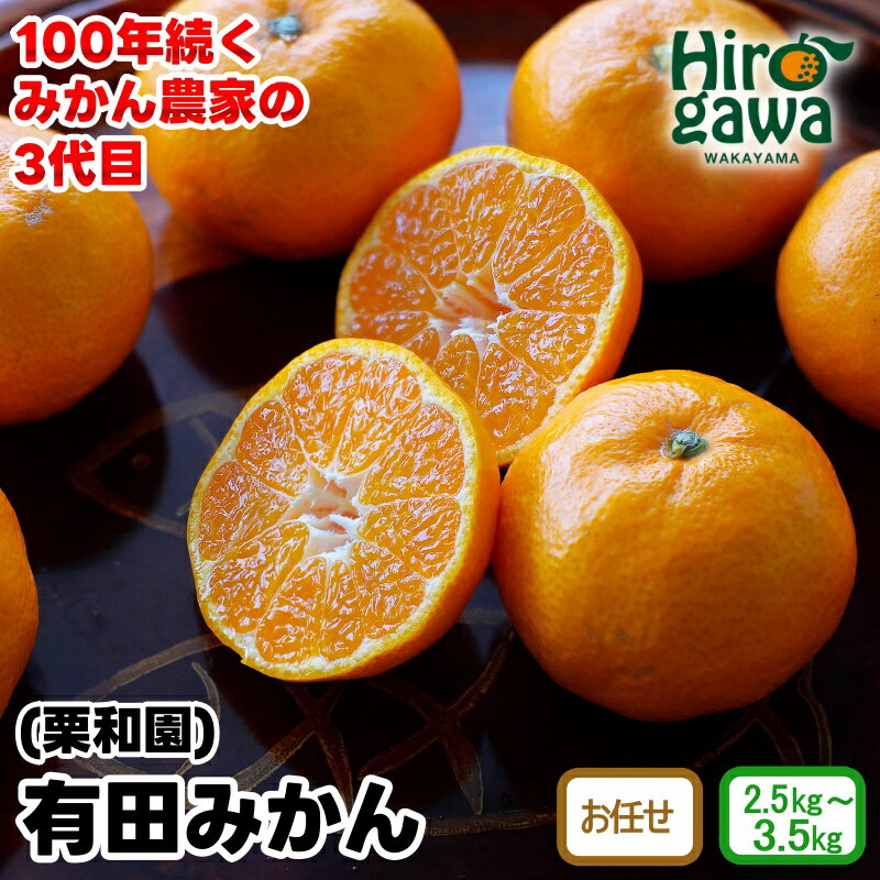 【ふるさと納税】 有田みかん 2.5kg 3kg 3.5kg (2S.S.M.Lサイズのいずれか) (L.2L混合) 和歌山県産 ※11月上旬頃～12月下旬頃に順次発送予定 7000円 9000円 / 温州みかん 柑橘 果物 フルーツ 国産 和歌山県広川町 //mandarin //jcm