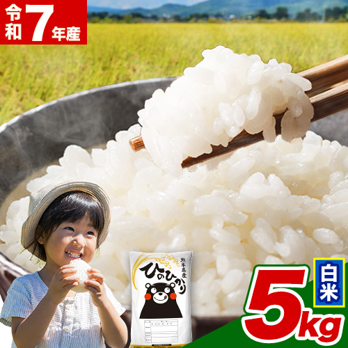 令和7年産  白米 ひのひかり 5kg 《7-14日以内に出荷予定(土日祝除く)》 熊本県産 ふるさと納税 精米 ひの 米 こめ ふるさとのうぜい ヒノヒカリ コメ お米 おこめ