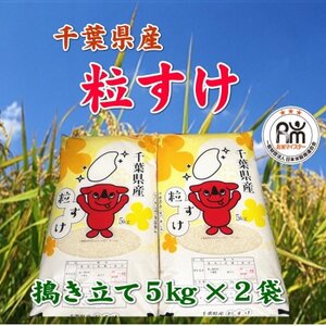 令和6年産千葉県産粒すけ精米10kg(5kg×2袋)【1576584】