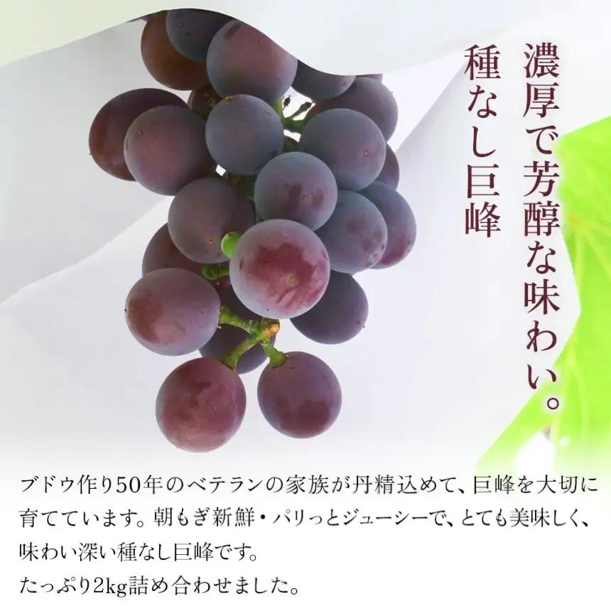 【先行予約】ニュー巨峰 約2kg（4～6房）| ぶどう 果物 フルーツ 産地直送 甘い 大分県産 九州産 中津市 国産 送料無料