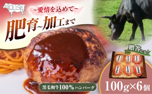 黒毛和牛 ハンバーグ 100g×6個 ハンバーグ はんばーぐ 小分け 個包装 冷凍 はんばーぐ hannba-gu hamburg 国産はんばーぐ 人気 おすすめ ハンバーグ ＜ミクリヤ畜産＞ [CFD025] 長崎 西海 牛肉 個包装 ハンバーグ 長崎和牛100％ はんばーぐ 冷凍 人気 小分け 個包装