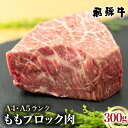 【ふるさと納税】飛騨牛 もも ブロック肉 300g 部位お任せ ローストビーフ ステーキ 肉 牛肉 国産牛 A4 A5 等級 もも肉 キャンプ モモ肉 白川郷 焼き肉 ステーキ バーベキュー BBQ キャンプ てんから 簡易梱包 訳あり 訳アリ 15000円 岐阜県 白川村 [S270]