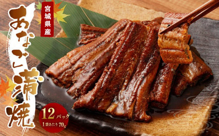 宮城県産あなご蒲焼　12パック入　(70g×12パック)　【r6-04203-0716】