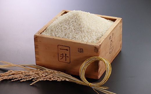 令和6年産　特別栽培米あきたこまち(白米)5kg【配送不可地域：離島・沖縄県】