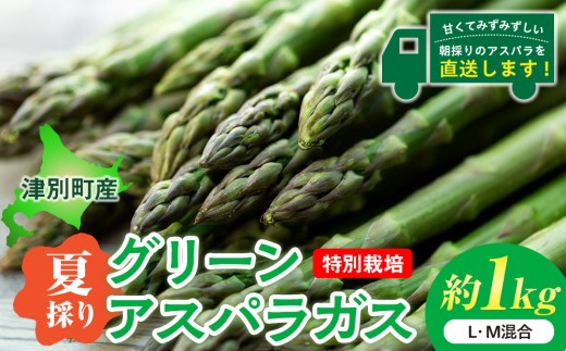 【先行受付】R8年産 特別栽培アスパラガス（夏採り） 約1kg 細川農園 | 北海道津別町