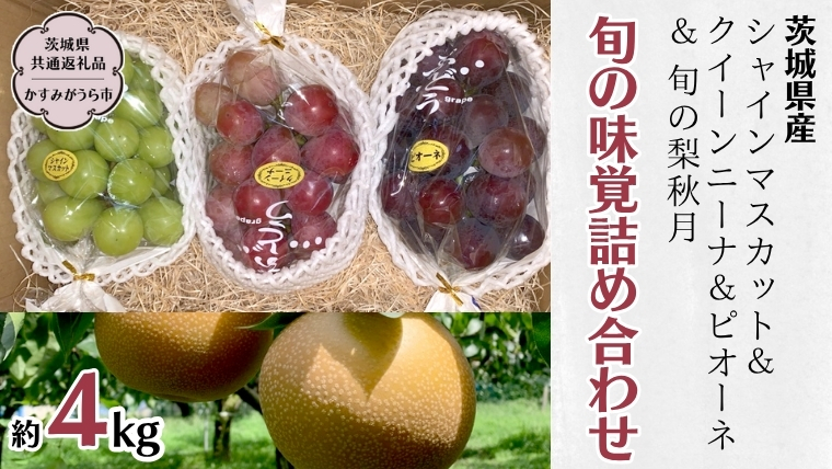 【 先行予約 】 茨城県産【 旬の味覚 】シャインマスカット クイーンニーナ と ピオーネ と 旬 の梨 秋月の詰め合わせ 約4kg (茨城県共通返礼品 かすみがうら市) (2025年9月上旬発送開始) 久保田果樹園 産地直送 フルーツ 甘い 直送 茨城 限定 ギフト ぶどう シャインマスカット クイーンニーナ 秋月 詰め合わせ 食べ比べ 果物 [DH013sa]
