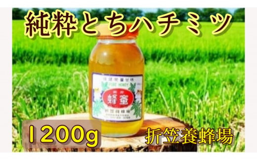 
6-A　折笠養蜂場　とちハチミツ　1200g
