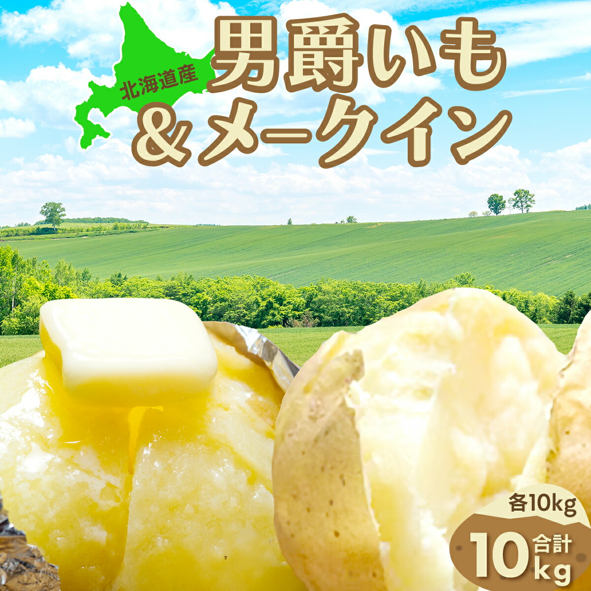 【ふるさと納税】 【先行予約】男爵芋&メークイン合計10kg（2026年9月15日以降発送）【 ふるさと納税 人気 おすすめ ランキング じゃがいも ジャガイモ 芋 いも イモ 男爵 男爵いも メークイン めーくいん 野菜 セット 詰め合わせ 詰合せ 北海道 網走市 送料無料 】 ABAO082