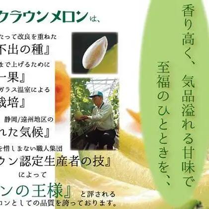 メロン 12ヶ月 定期便 クラウン 白上級 1玉入 メロン
