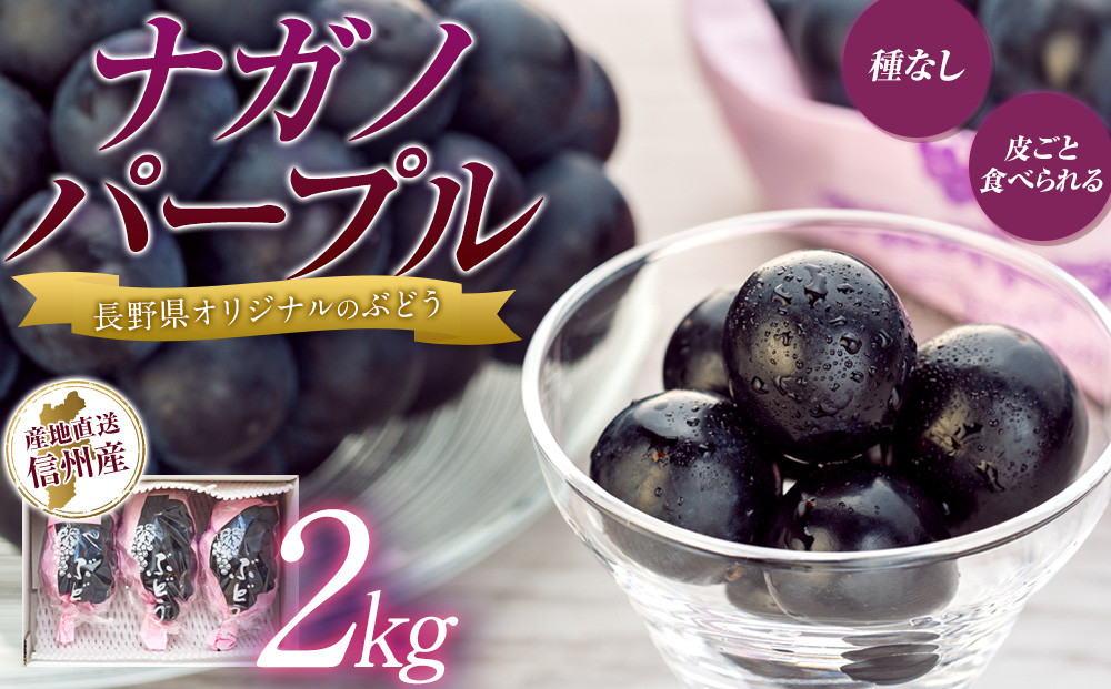 
            ぶどう ナガノパープル 2kg 葡萄 ブドウ 長野パープル 果物 くだもの フルーツ 旬の果物 旬のフルーツ 信州 長野 長野県 [№5675-1158]
          