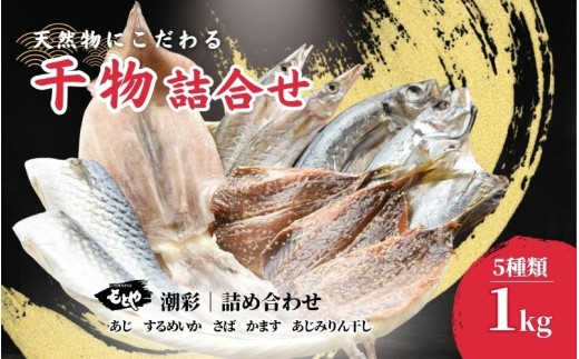 【干物】潮彩 ひもの詰合せ 5種類セット 1kg mtya001B