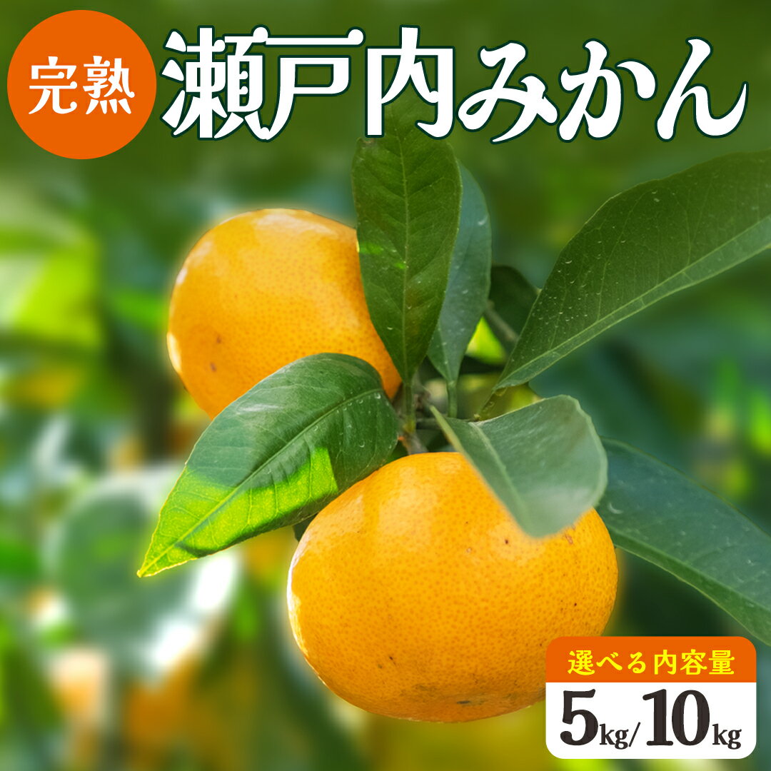 【ふるさと納税】瀬戸内 島の 完熟 みかん 詰め合わせ 5kg 10kg 選べるサイズ 12月発送開始 広島 大崎上島 瀬戸内 離島 濃厚 甘い 柑橘 フルーツ 果物 くだもの お取り寄せ ミカン 贈答用 ギフト 産地直送 岩崎農園