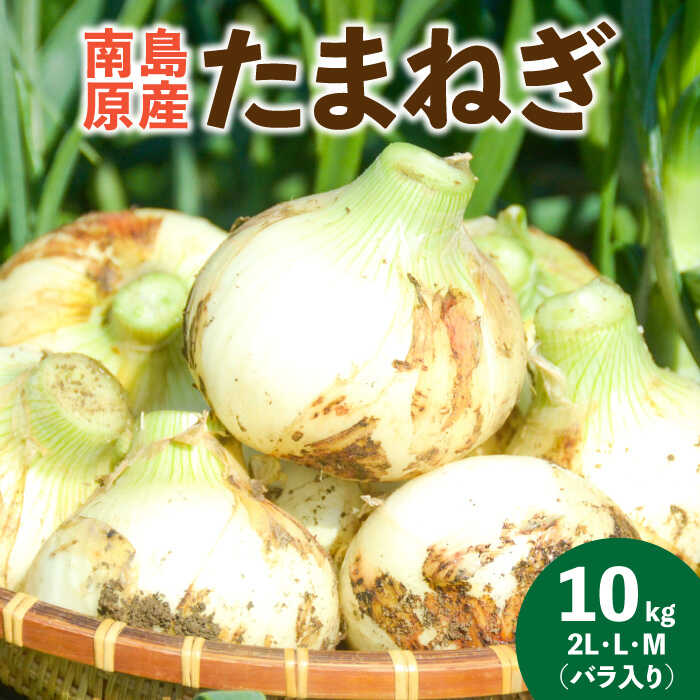 【ふるさと納税】【2026年3月～発送】たまねぎ 10kg / たまねぎ 玉ねぎ タマネギ 野菜 / 南島原市 / 島原雲仙農業協同組合 南部基幹営農センター [SAB002]