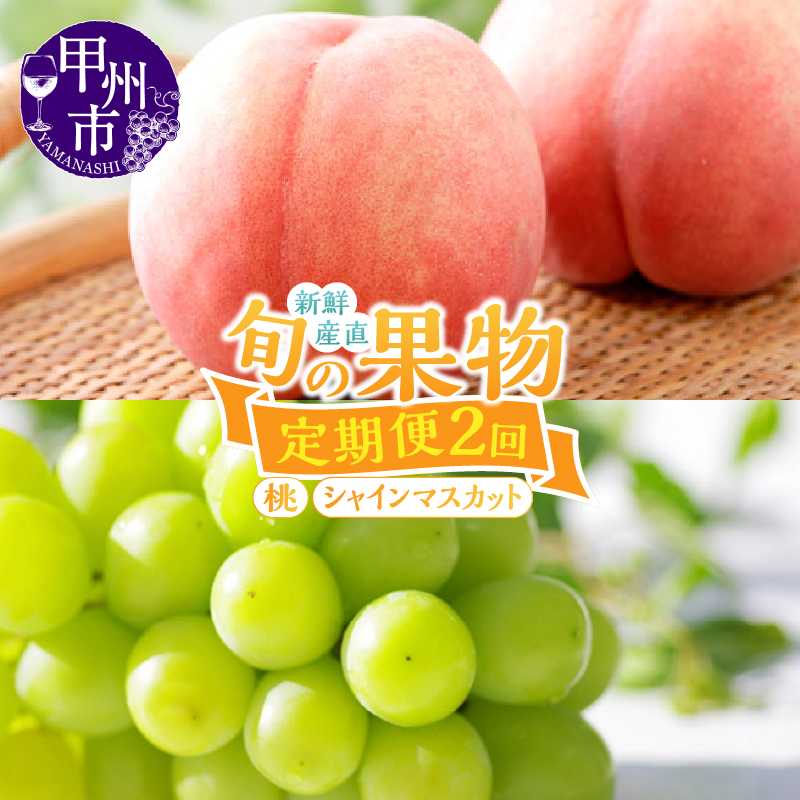 【定期便】新鮮産直！甲州市・桃とシャインマスカット2回定期便【2026年発送】（KSF）B16-126