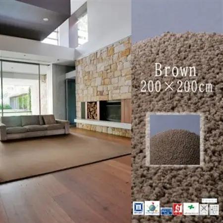 高密度＆素足に心地よいソフトタッチ カーペット (サキソニー)ブラウン【200×200cm】【1395797】