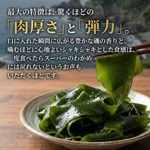 塩蔵わかめ 500g (250g×2パック)