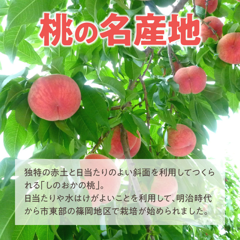 【数量限定】 しのおかの大きな桃(白鳳・特秀クラス）