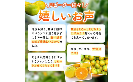 ゆら早生 みかん  ≪小玉≫ 4.5kg (3Sサイズ)  / みかん 小玉サイズ 甘い 蜜柑 フルーツ 果物 くだもの 食品 人気 晩柑 おすすめ 送料無料 産地直送 和歌山 由良町 ※2026年1