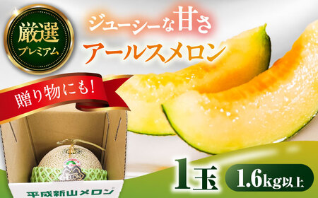 【2026年7月下旬-発送】【平成新山メロンPREMIUM（とみちゃん厳選）】アールスメロン 1玉 / メロン めろん 青肉 糖度 果物 くだもの フルーツ ふるーつ 旬 高級 ギフト / 南島原市 / うえだメロン園 [SAD005]