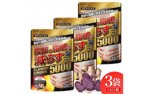 ブラックジンジャー サプリメント フラムジンジャー 機能性表示食品 3袋セット