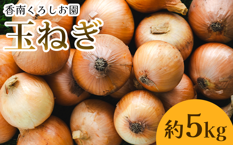 玉ねぎ 5kg 農福