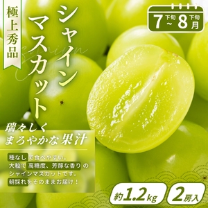 【フルーツ定期便・全4回】品質に自信あり！くしがきの里から直送　桃・シャインマスカット・はれひめ・まりひめを季節ごとにお届け♪ / 定期便 桃 もも みかん 柑橘 シャインマスカット マスカット いち